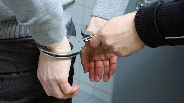 Подозреваемый в смертельном ДТП в Оршанском районе задержан